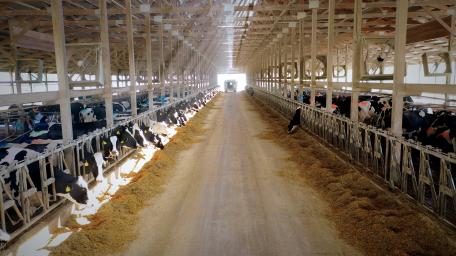 Dairy Farm Image
