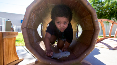 ChildCrisisAZ-Web_BlogHeader